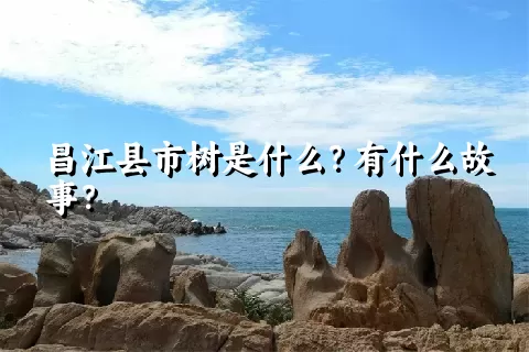 昌江县市树是什么？有什么故事？