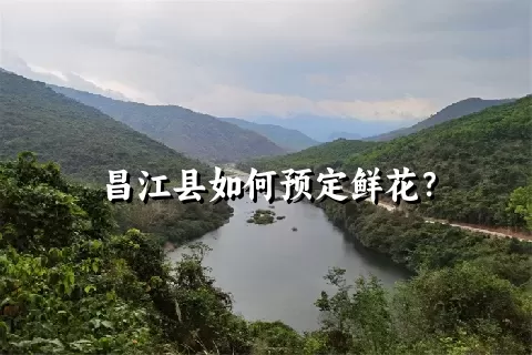 昌江县如何预定鲜花？