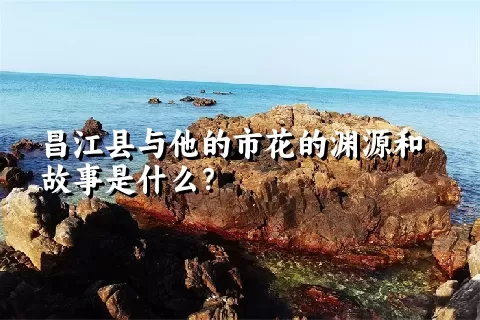 昌江县与他的市花的渊源和故事是什么？