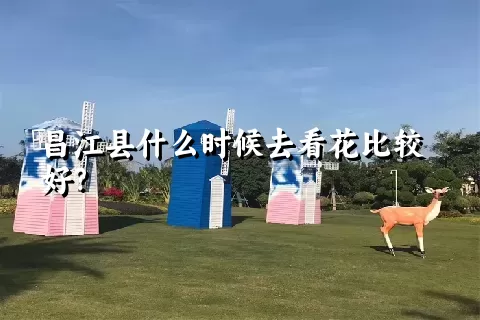 昌江县什么时候去看花比较好？