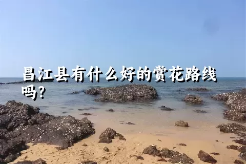 昌江县有什么好的赏花路线吗？