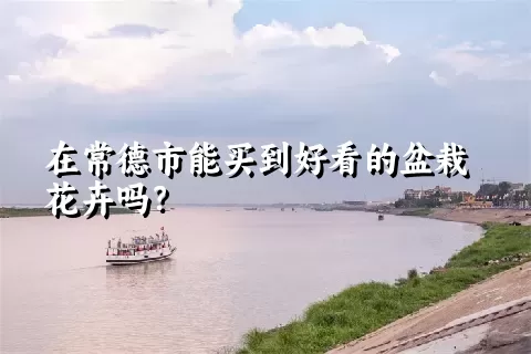 在常德市能买到好看的盆栽花卉吗？