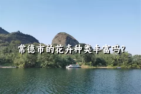 常德市的花卉种类丰富吗？