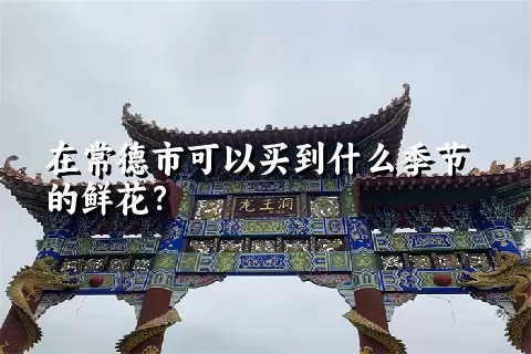 在常德市可以买到什么季节的鲜花？