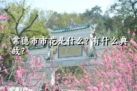 常德市市花是什么？有什么典故？