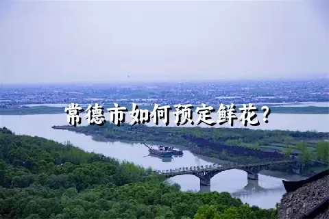 常德市如何预定鲜花？