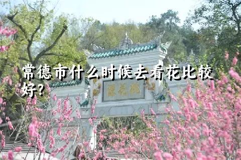 常德市什么时候去看花比较好？