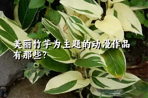 美丽竹芋为主题的动漫作品有那些？