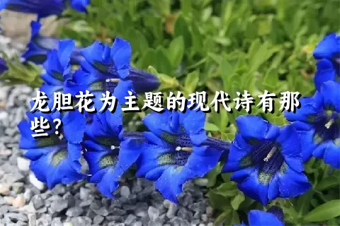 龙胆花为主题的现代诗有那些？