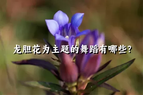 龙胆花为主题的舞蹈有哪些？