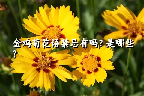 金鸡菊花语禁忌有吗？是哪些？