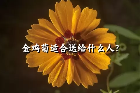 金鸡菊适合送给什么人？