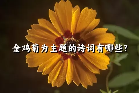 金鸡菊为主题的诗词有哪些？