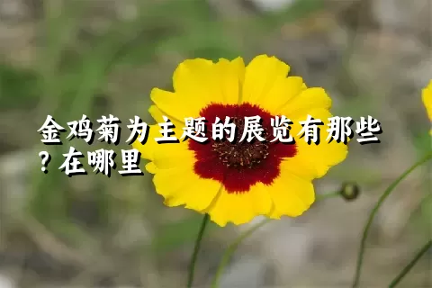 金鸡菊为主题的展览有那些？在哪里