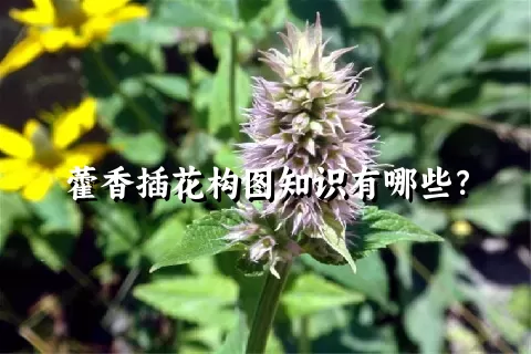 藿香插花构图知识有哪些？