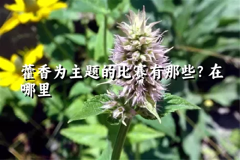 藿香为主题的比赛有那些？在哪里