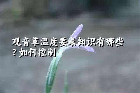 观音草温度要求知识有哪些？如何控制