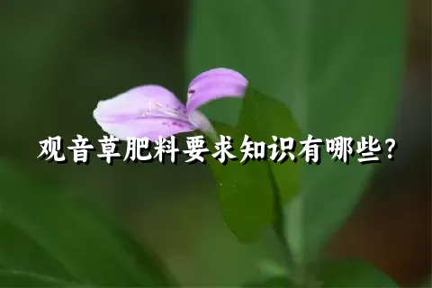 观音草肥料要求知识有哪些？