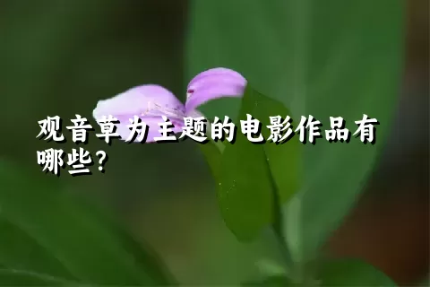 观音草为主题的电影作品有哪些？