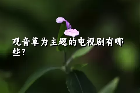 观音草为主题的电视剧有哪些？