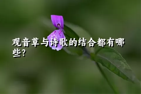 观音草与诗歌的结合都有哪些？