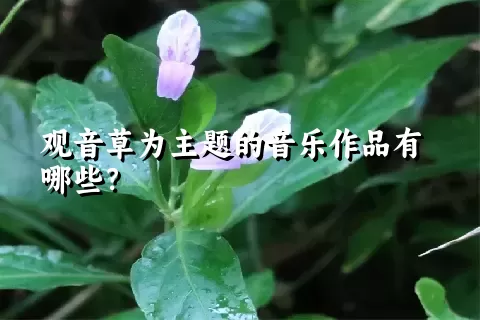 观音草为主题的音乐作品有哪些？