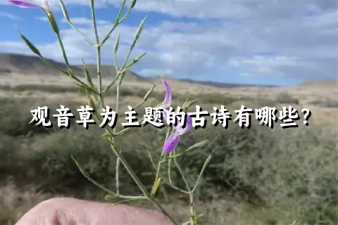 观音草为主题的古诗有哪些？