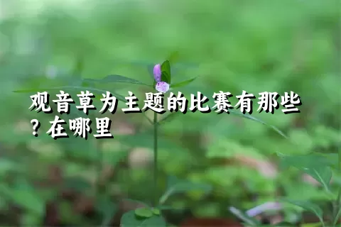 观音草为主题的比赛有那些？在哪里