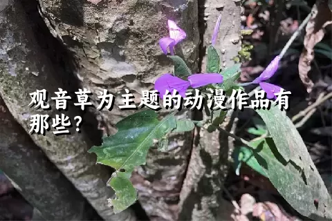 观音草为主题的动漫作品有那些？