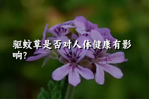 驱蚊草是否对人体健康有影响？