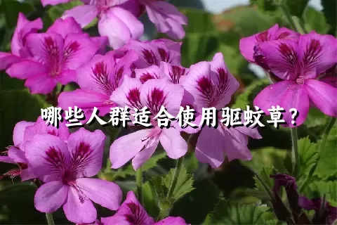 哪些人群适合使用驱蚊草？