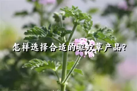 怎样选择合适的驱蚊草产品？