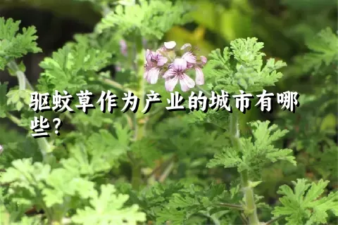 驱蚊草作为产业的城市有哪些？