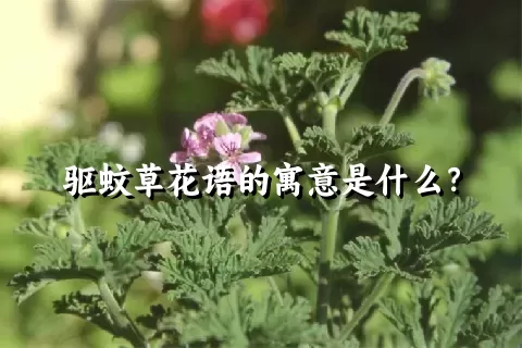 驱蚊草花语的寓意是什么？