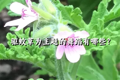 驱蚊草为主题的舞蹈有哪些？