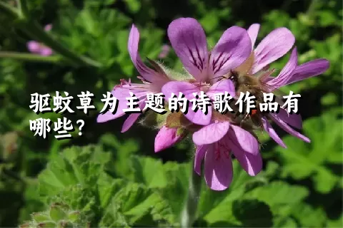 驱蚊草为主题的诗歌作品有哪些？