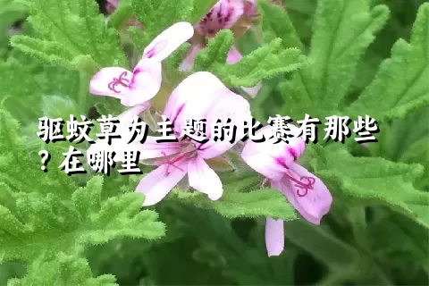 驱蚊草为主题的比赛有那些？在哪里