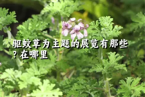 驱蚊草为主题的展览有那些？在哪里