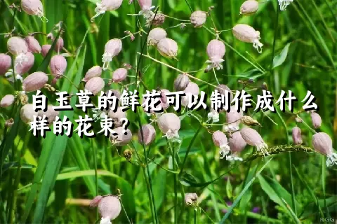 白玉草的鲜花可以制作成什么样的花束？