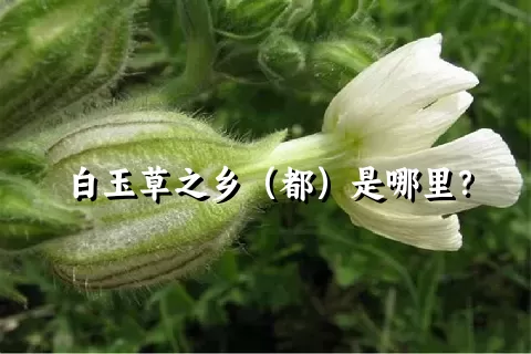 白玉草之乡（都）是哪里？