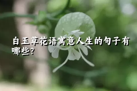 白玉草花语寓意人生的句子有哪些？