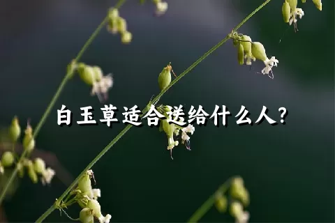 白玉草适合送给什么人？