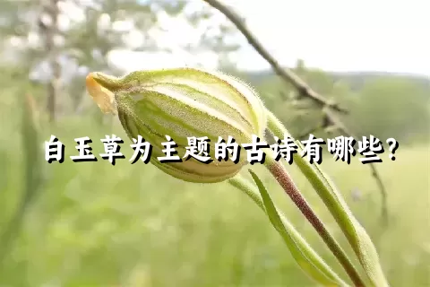 白玉草为主题的古诗有哪些？