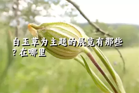 白玉草为主题的展览有那些？在哪里