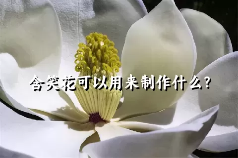 含笑花可以用来制作什么？