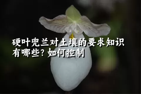 硬叶兜兰对土壤的要求知识有哪些？如何控制