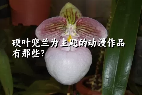 硬叶兜兰为主题的动漫作品有那些？