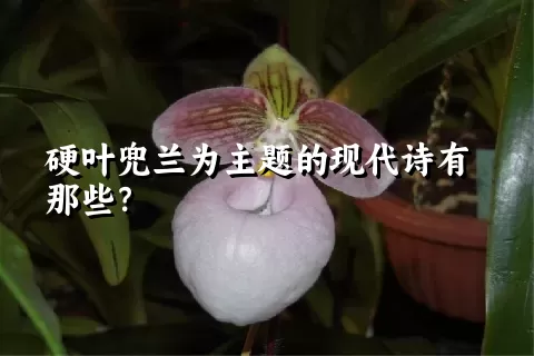 硬叶兜兰为主题的现代诗有那些？