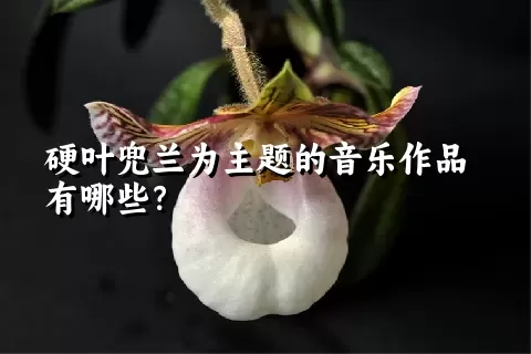 硬叶兜兰为主题的音乐作品有哪些？