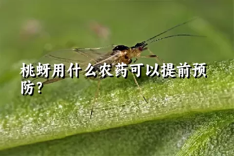 桃蚜用什么农药可以提前预防？